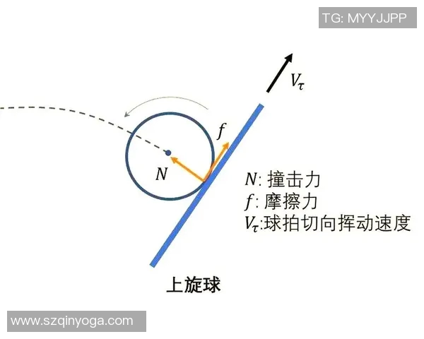 从零基础到高手之路乒乓球力量训练全解析与技巧分享