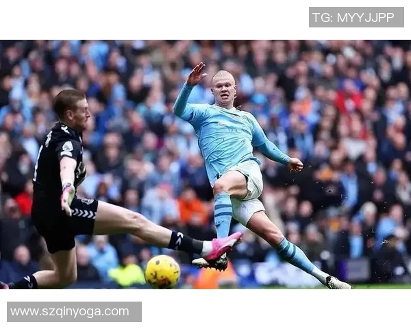 哈兰德足球生涯中的经典瞬间与精彩进球回顾